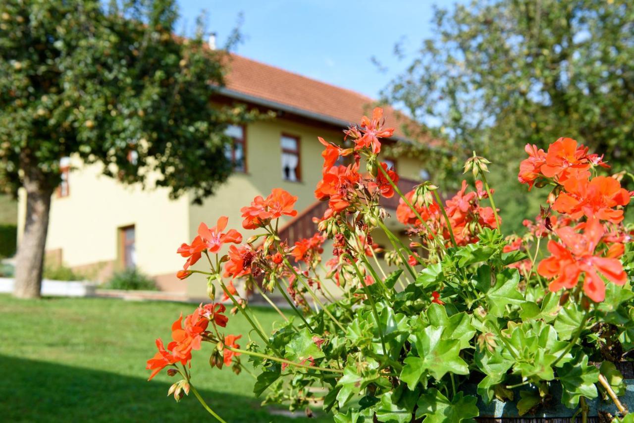 Ruralna Kuca 'Villa Zagorka' Za Odmor Sa Bazenom I Bocalistem Donja Pacetina Ngoại thất bức ảnh
